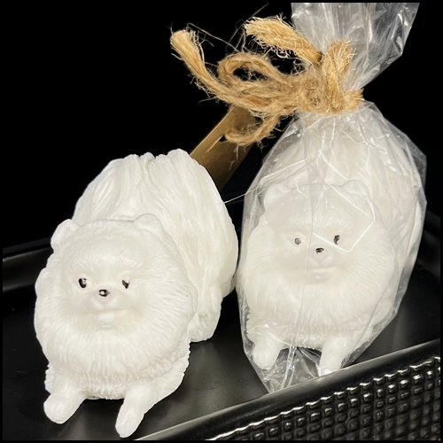 produkt_-_pomeranian_bialy1